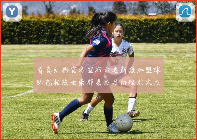 青岛红狮官方宣布六名新援加盟球队包括陈世豪邓嘉杰吕凯瑞尤文杰等球员